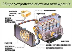 Двигатель перегревается: как «развоздушить» систему охлаждения?