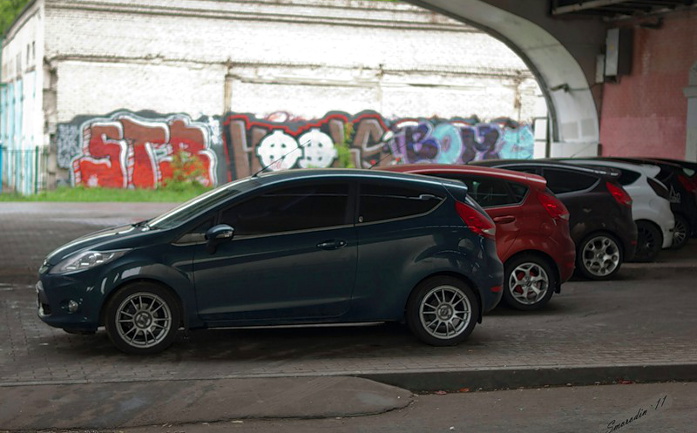 Ford Fiesta - фотографии с клубной встречи